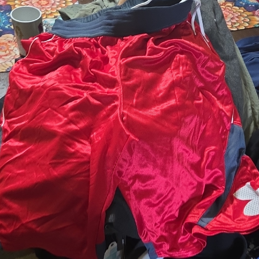 Under Armour Charcoal and Scarlet Shorts